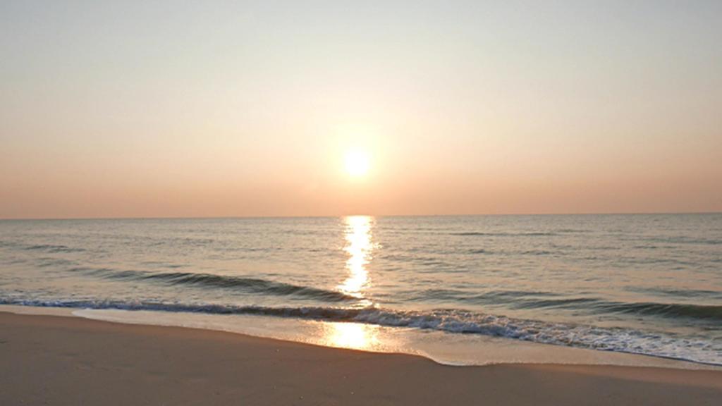 Hung Do Beach Homestay Hội An Ngoại thất bức ảnh